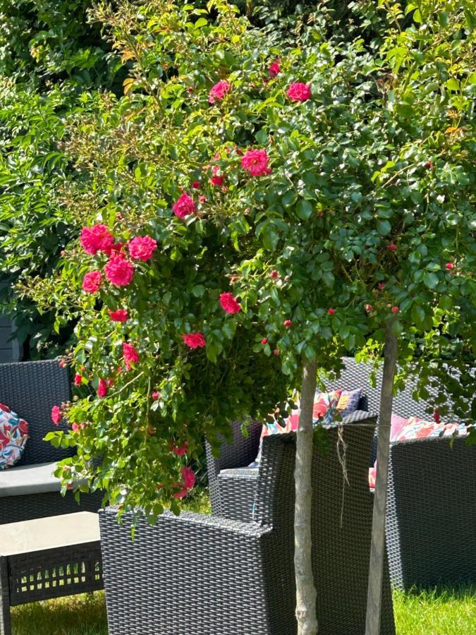 La Glycine B&B Sainte-Colombe  Exterior photo